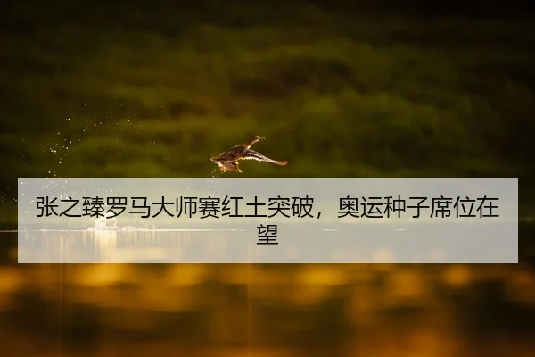 张之臻罗马大师赛红土突破，奥运种子席位在望