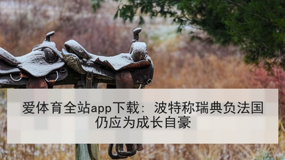 爱体育全站app下载: 波特称瑞典负法国仍应为成长自豪