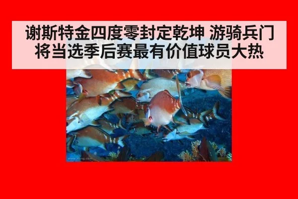 谢斯特金四度零封定乾坤 游骑兵门将当选季后赛最有价值球员大热